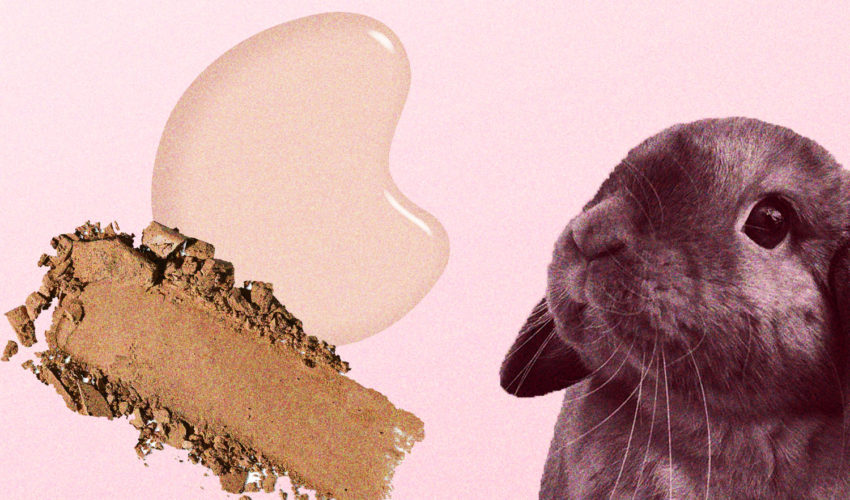 en-route vegan header image