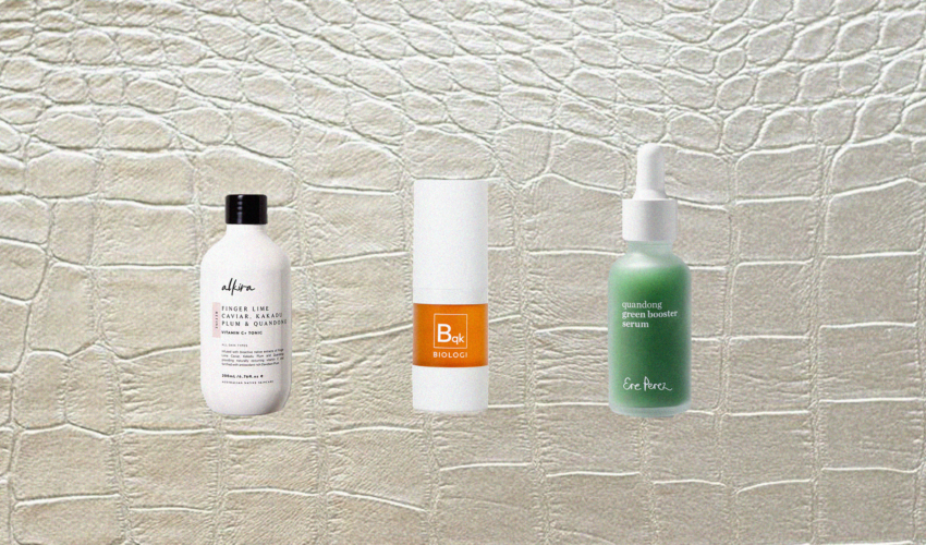 IN THE SPOTLIGHT: QUANDONG