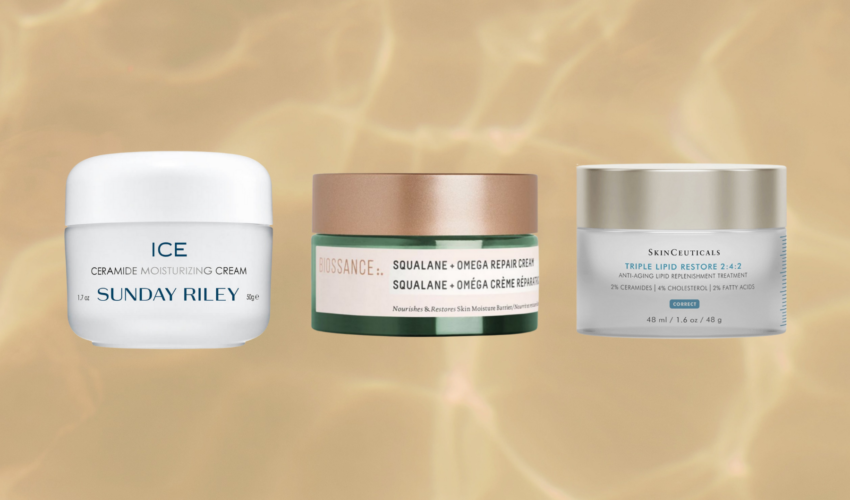 En-Route Ceramides Header 1800x1200 (1)