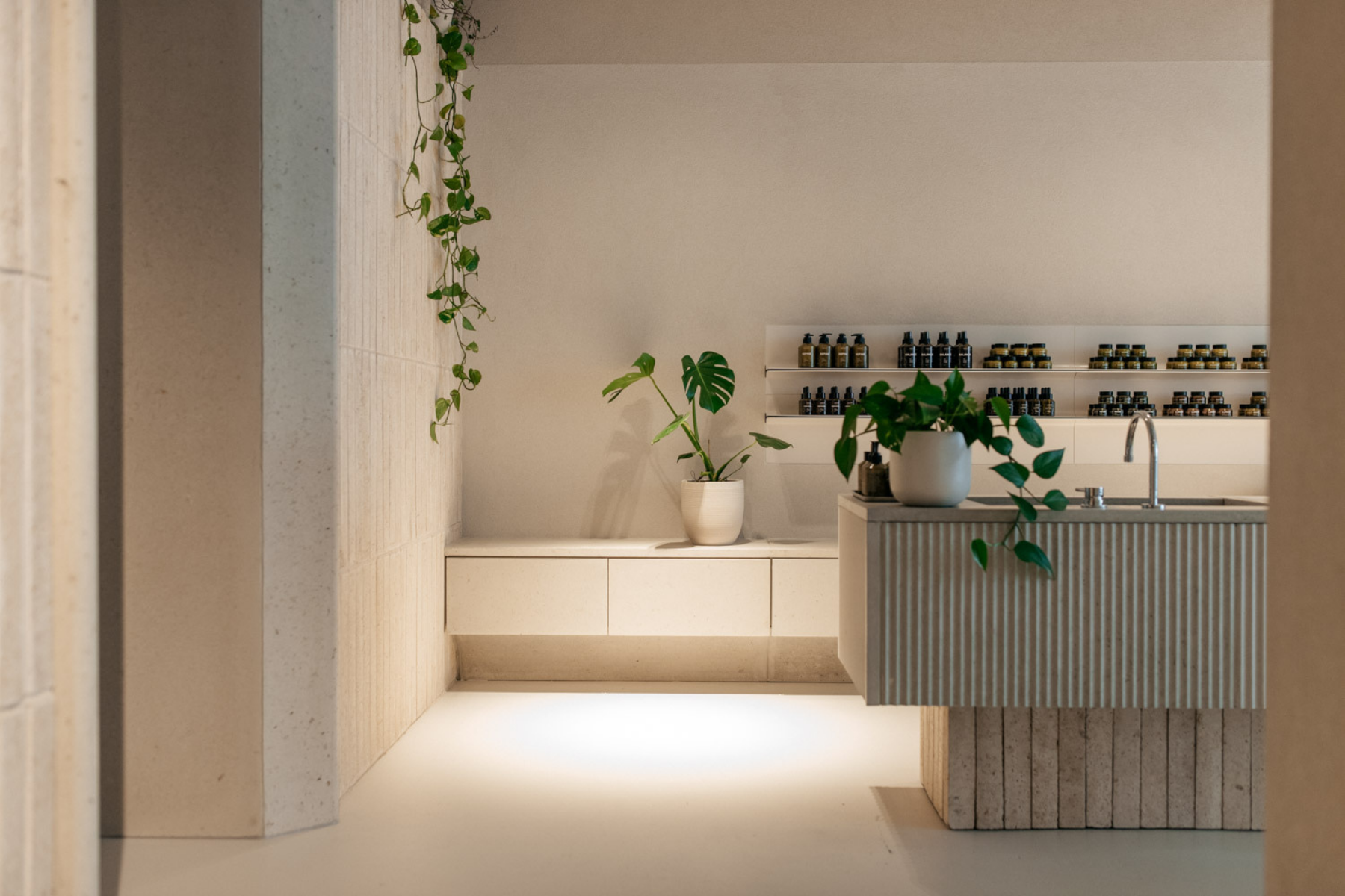 Where To Eat and Sip December