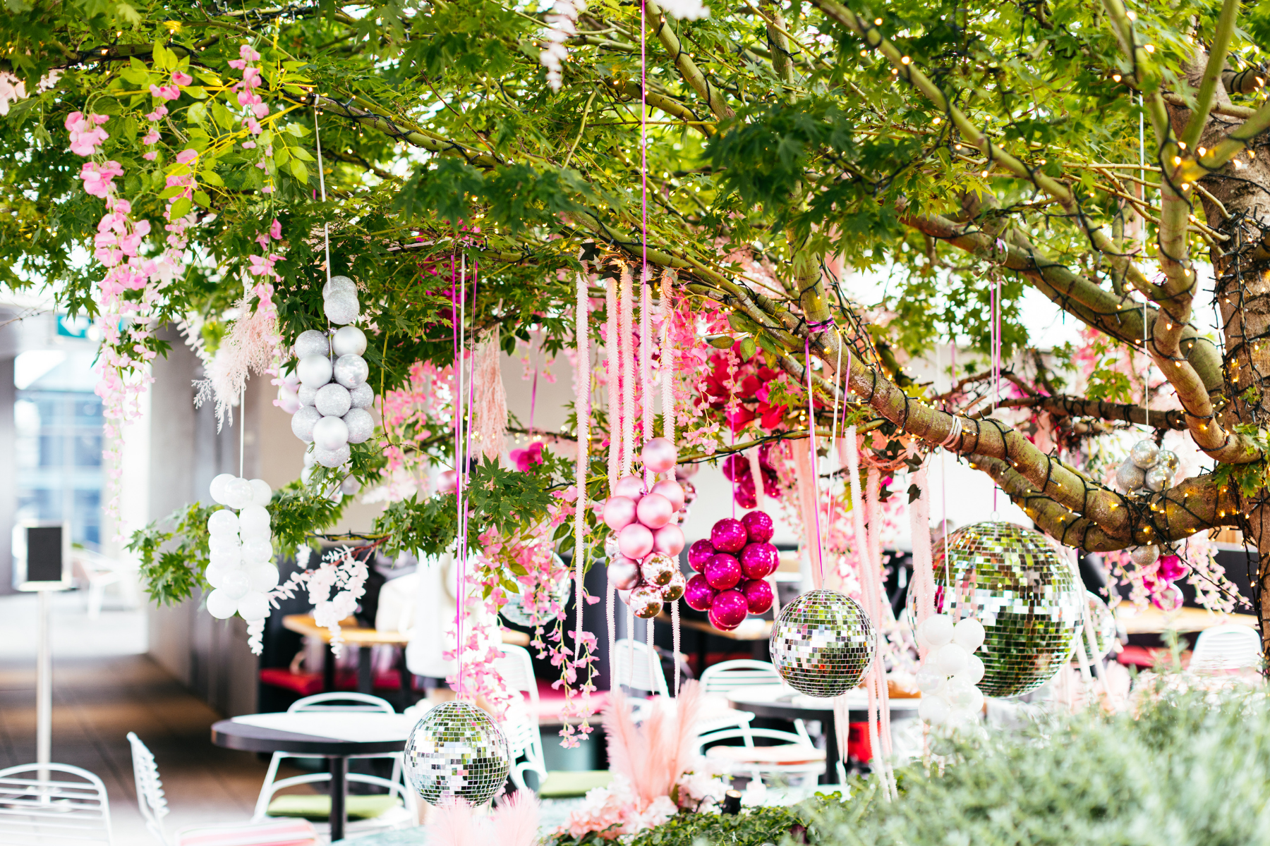 Where To Eat and Sip December