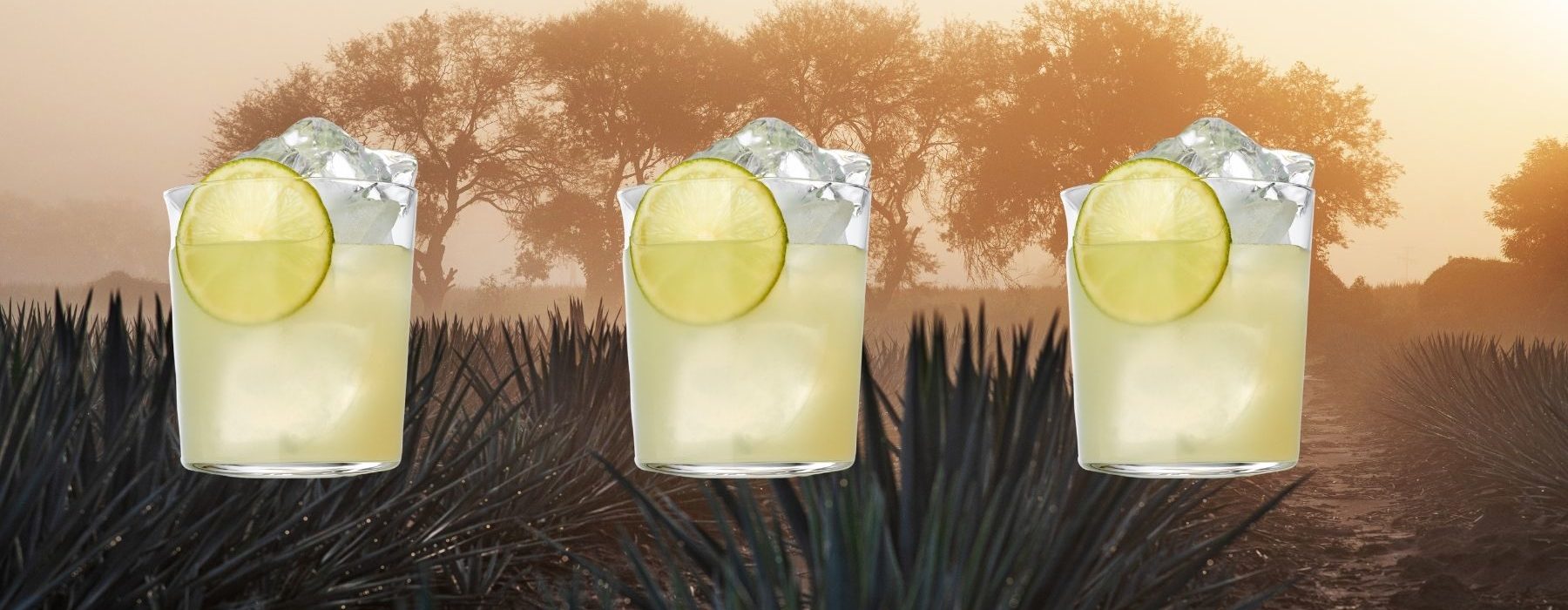 Margarita