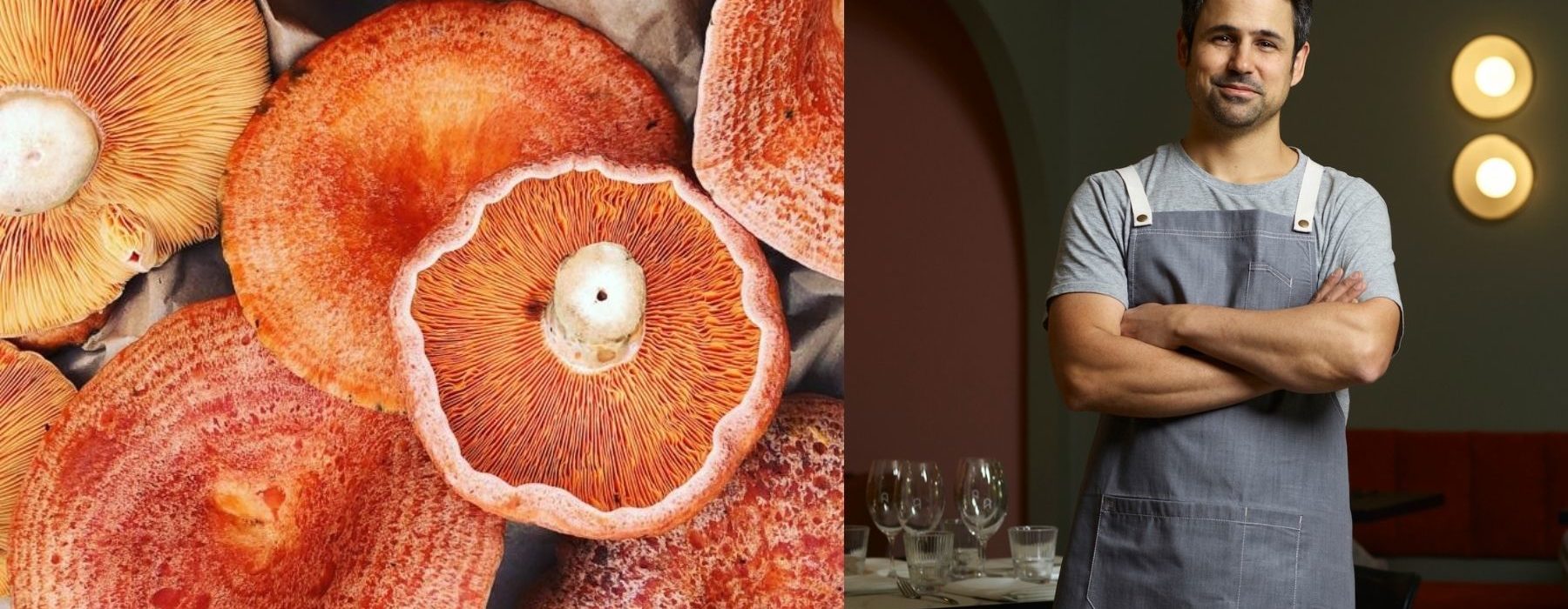 Autumn Wild Mushroom Trail Kyah Boutique Hotel