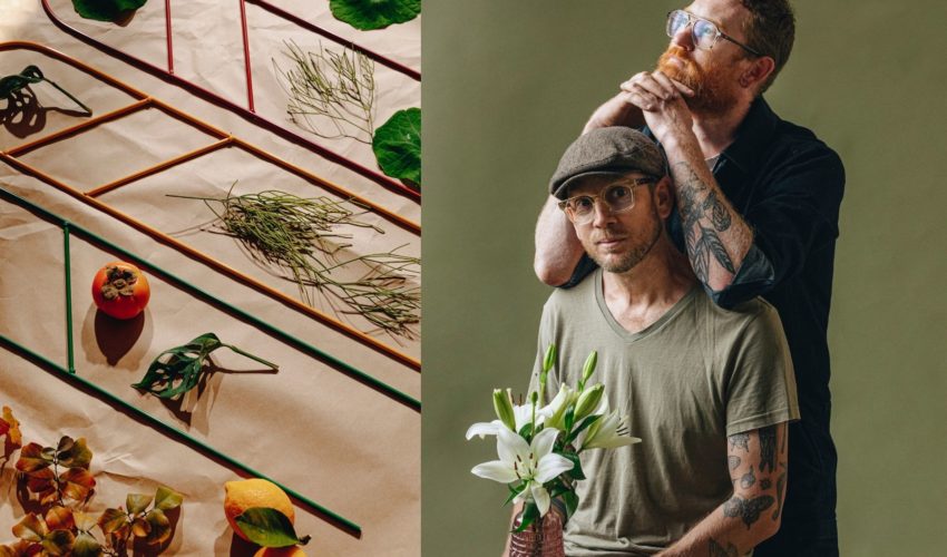 En-Route Header Best Indoor Plant
