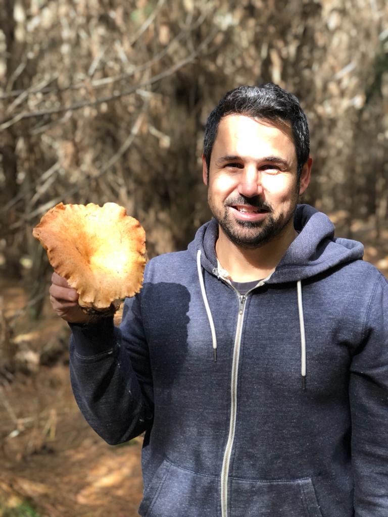 Autumn Wild Mushroom Trail | Kyah Boutique Hotel