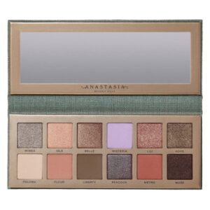 anastasia-beverly-hills-eye-palette-enroute